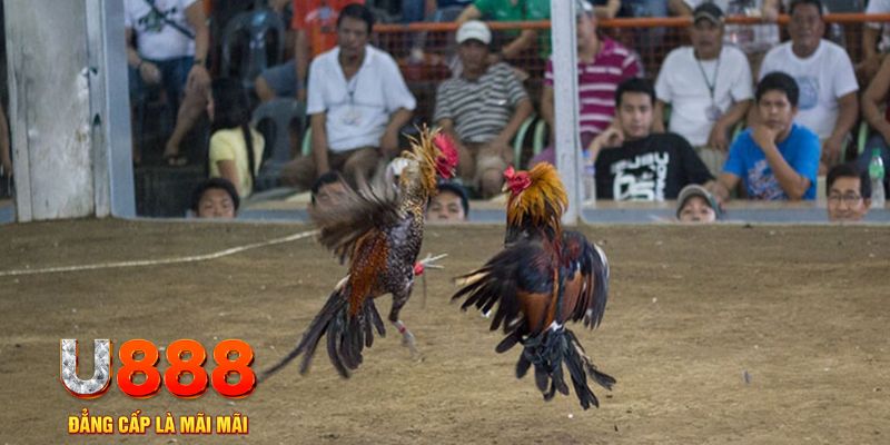 bet16 đăng nhập mậu binh khuyến mãi