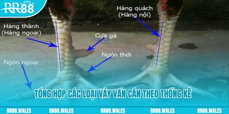 bet16 casino hồ tràm có cho người việt vào không