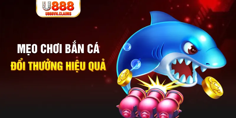 bet16 gà chọi cam ranh