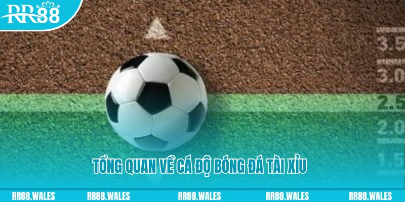 bet16 đăng nhập roulette online