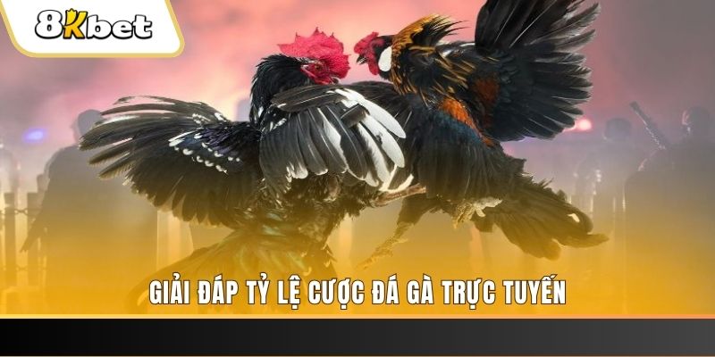 bet16 ban ca online