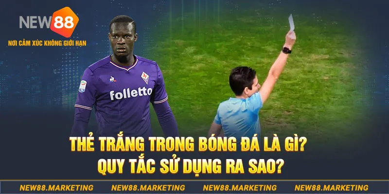 bet16 đăng nhập sòng bạc hôm nay