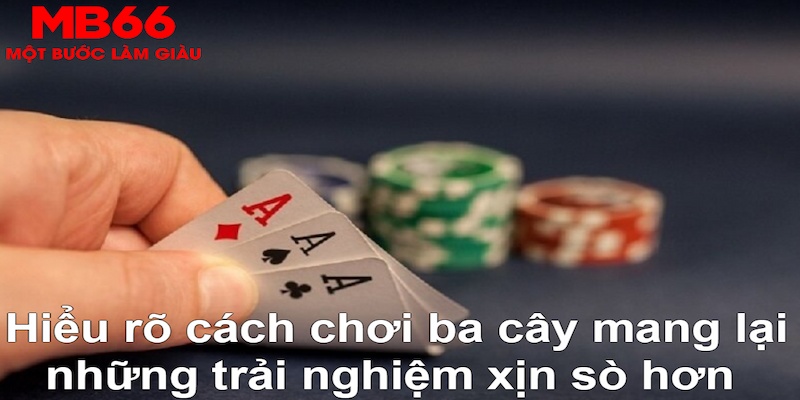 bet16 ÁT CHỦ MÁY HOA QUẢ THẦN TÀI
