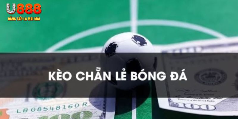 bet16 gà chọi c1.tv