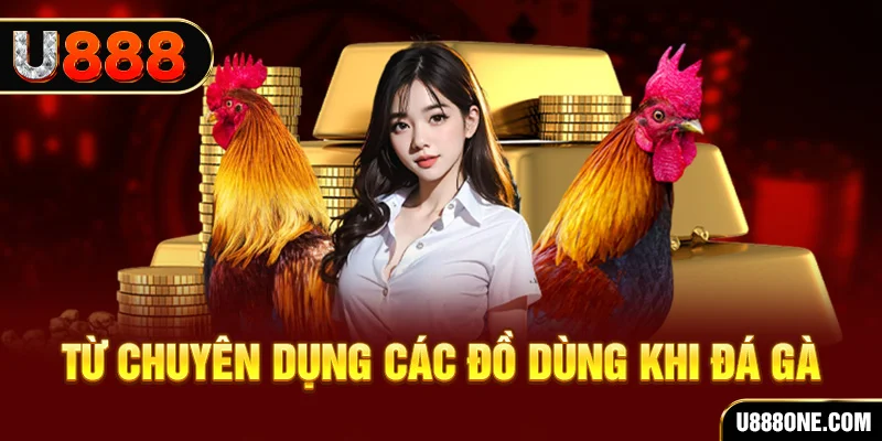 bet16 đá gà trực tiếp campuchia